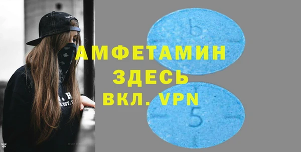 хмурый Алзамай