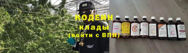 хмурый Алзамай
