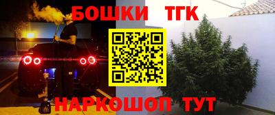 прущие грибы Азнакаево