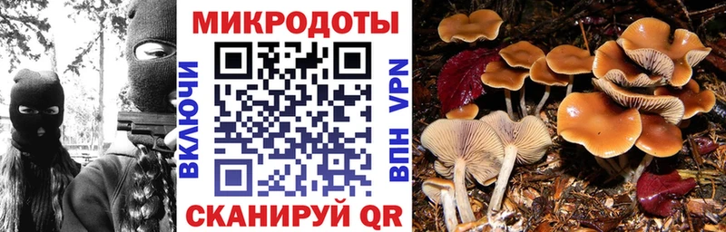 Галлюциногенные грибы Psilocybine cubensis  купить   Глазов 